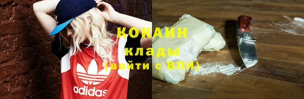 шишки Киренск