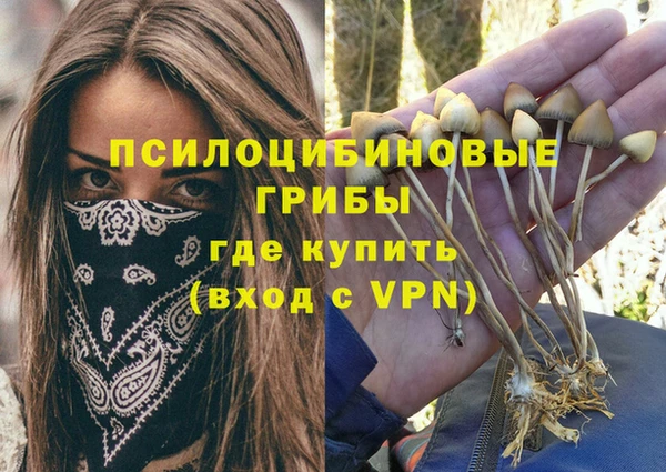 дживик Киреевск
