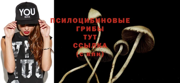 шишки Киренск