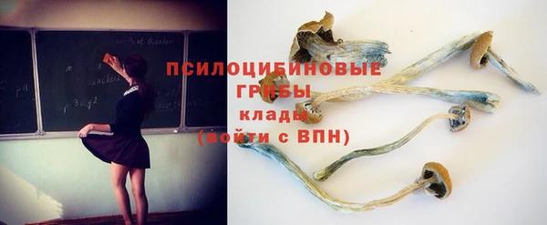 дживик Киреевск