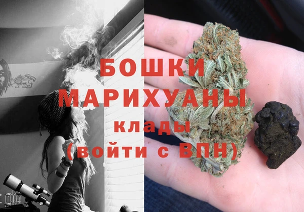 шишки Киренск