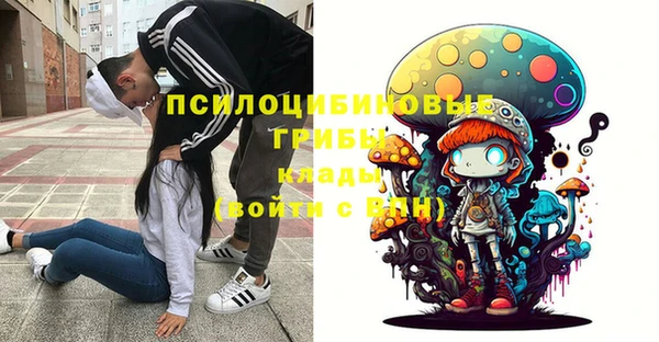 шишки Киренск