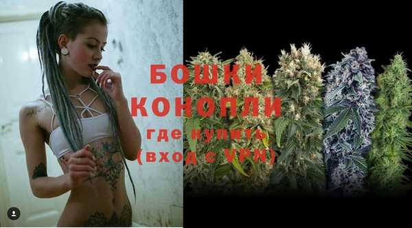 шишки Киренск