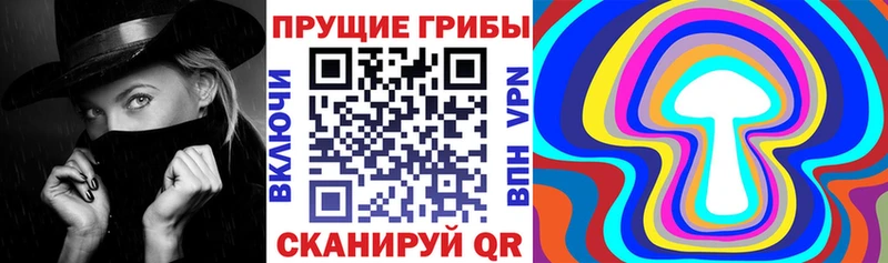 Псилоцибиновые грибы GOLDEN TEACHER  купить наркотики сайты  Электроугли 